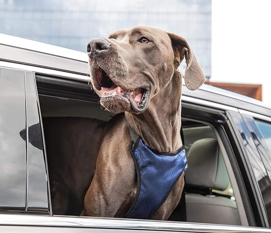 Happy Ride Dog Safety Harness for Cars - Dog Car Harness Includes Seat Belt Tether - Keeps Pets Restrained - Breathable Mesh, Adjustable Straps - Dog Travel Accessories for Car - X-Large